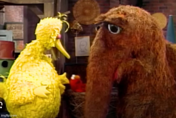 " Bird, how much can you know about yourself if you've never been in a fight?" | image tagged in sesame street,fight club | made w/ Imgflip meme maker