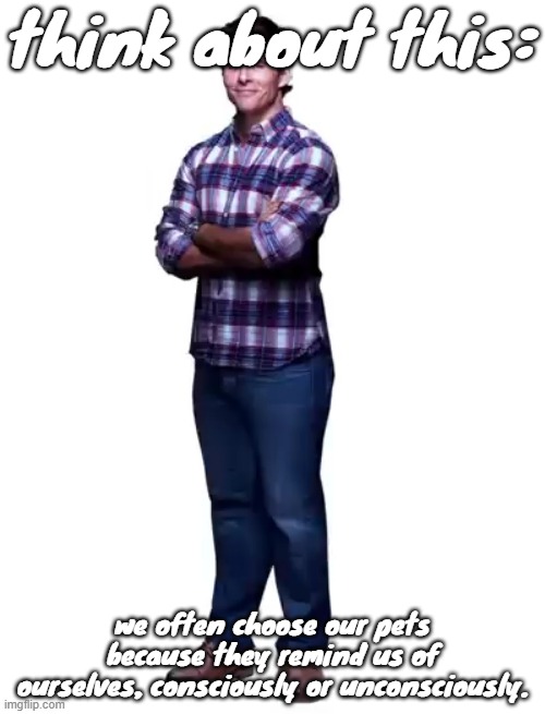 Sonic guy | think about this:; we often choose our pets because they remind us of ourselves, consciously or unconsciously. | image tagged in sonic guy | made w/ Imgflip meme maker