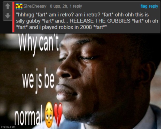 i dislike it when i have to resize the computer tab js so the comment doesnt look miniscule compared to the image | image tagged in why can't we js be normal updated | made w/ Imgflip meme maker
