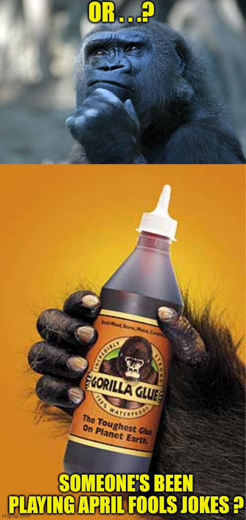 Or . . .? Someone's been playing April fools jokes ? | image tagged in deep thoughts,gorilla glue | made w/ Imgflip meme maker