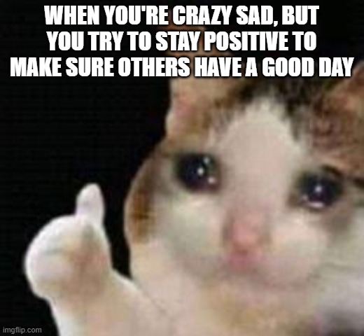 This happens to me more then it probably should | When you're crazy sad, but you try to stay positive to make sure others have a good day | image tagged in approved crying cat | made w/ Imgflip meme maker