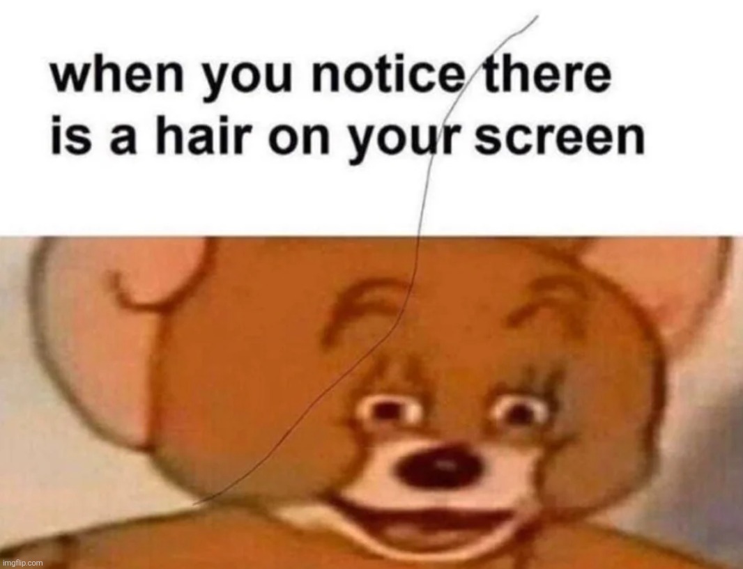 We do a little trolling | image tagged in meme,memes,funny,funny memes,funny meme | made w/ Imgflip meme maker