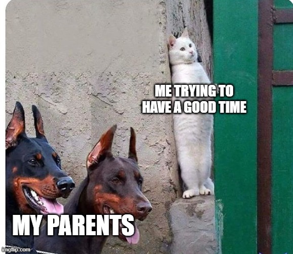 I hide O_O | Me trying to have a good time; My parents | image tagged in hidden cat | made w/ Imgflip meme maker