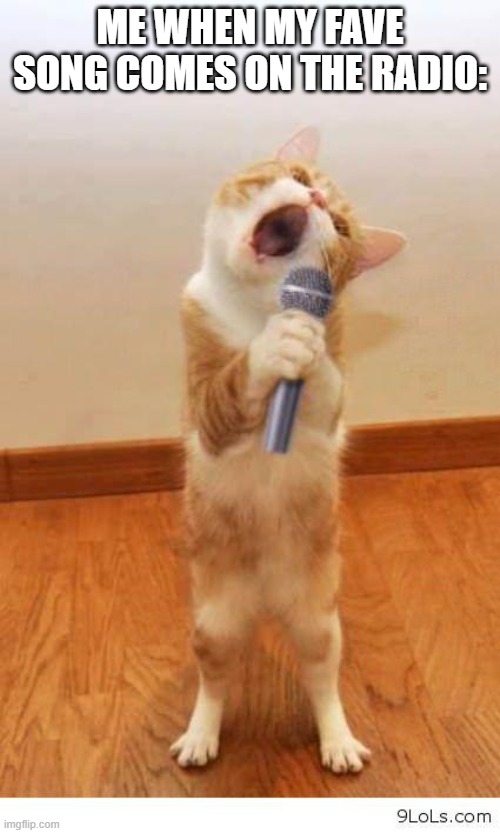 Initiate max volume singing XD | Me when my fave song comes on the radio: | image tagged in cat singer | made w/ Imgflip meme maker
