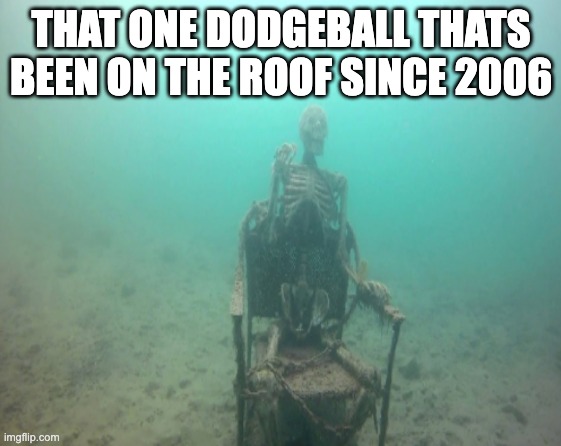 This is a very true meme. Those basketballs, etc have been on that one part of the gym for a long time. | That one dodgeball thats been on the roof since 2006 | image tagged in dodgeball,memes,funny,so true,gym,pe | made w/ Imgflip meme maker
