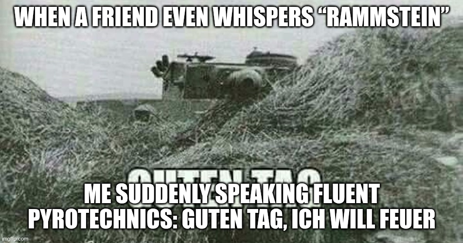 German guten tag tiger | WHEN A FRIEND EVEN WHISPERS “RAMMSTEIN”; ME SUDDENLY SPEAKING FLUENT PYROTECHNICS: GUTEN TAG, ICH WILL FEUER | image tagged in german guten tag tiger | made w/ Imgflip meme maker
