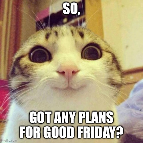 :) | So, Got any plans for good friday? | image tagged in memes,smiling cat | made w/ Imgflip meme maker
