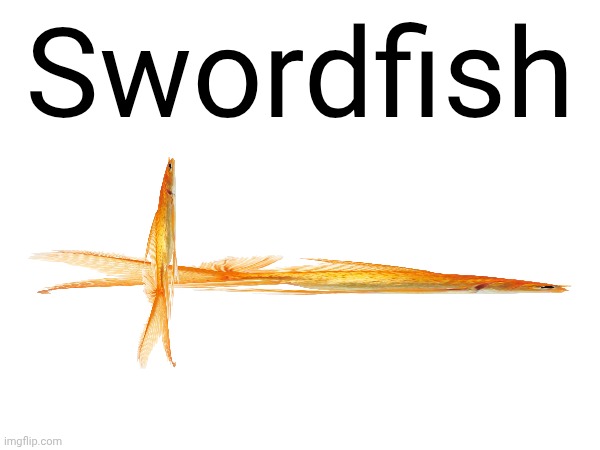 Swordfish | made w/ Imgflip meme maker