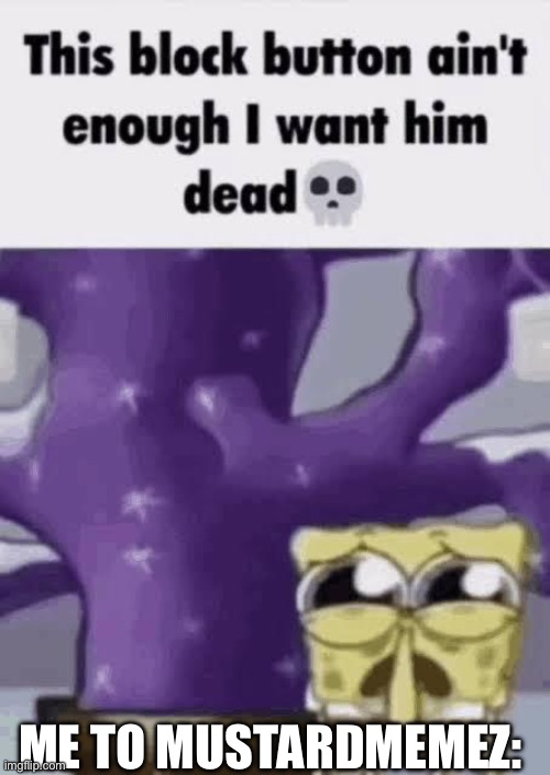 “Image title” (slowed + reverb) ATrueMemer note: Same here bro | Me to mustardmemez: | image tagged in this block button ain t enough i want him dead | made w/ Imgflip meme maker