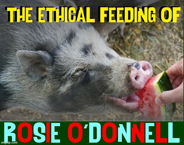 Please stop feeding Rosie O'Donnell meat | image tagged in vince vance,rosie o'donnell,memes,wild boar | made w/ Imgflip meme maker
