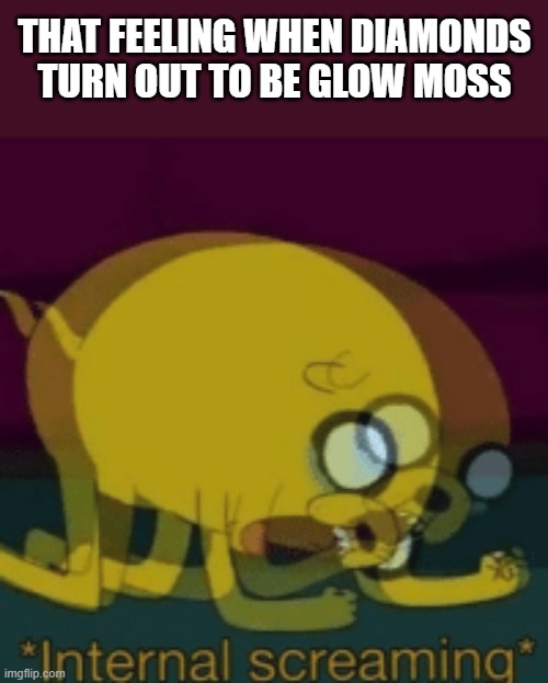 i hate this | That feeling when diamonds turn out to be glow moss | image tagged in jake the dog internal screaming,minecraft,why | made w/ Imgflip meme maker