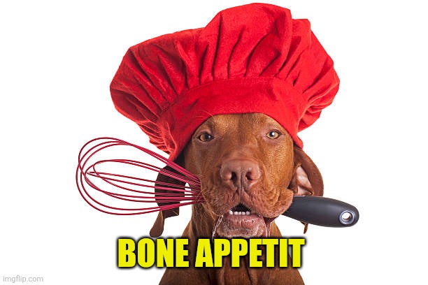 a dog wearing a chef's hat with a confused expression | Bone appetit | image tagged in a dog wearing a chef's hat with a confused expression | made w/ Imgflip meme maker