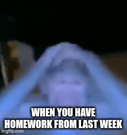 HOMEWORK - Imgflip