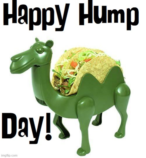 Hump Days with Tacos R Easier | image tagged in vince vance,wednesday,hump day,plastic,hump day camel,memes | made w/ Imgflip meme maker
