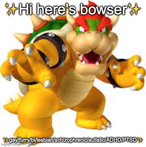 Bowser | ✨Hi here's bowser✨; ✨gay/furry/bi/lesbian/schizophrenic/autistic/ADHD/PTSD✨ | image tagged in bowser | made w/ Imgflip meme maker