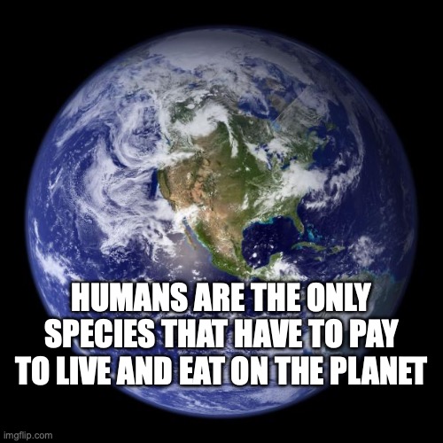 Humans have to pay to live and eat on earth | Humans are the only species that have to pay to live and eat on the planet | image tagged in earth,humans,people,stupid people | made w/ Imgflip meme maker
