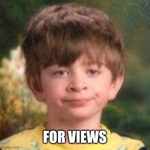 Annoyed face | For views | image tagged in annoyed face | made w/ Imgflip meme maker