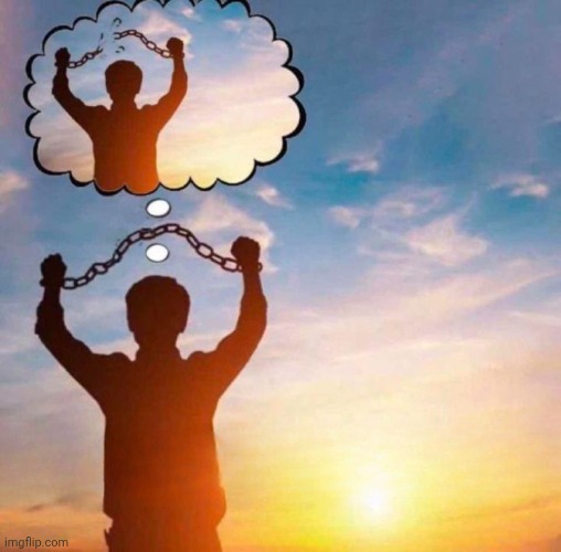 Bro Thinks He's Free | image tagged in bro thinks he's free | made w/ Imgflip meme maker