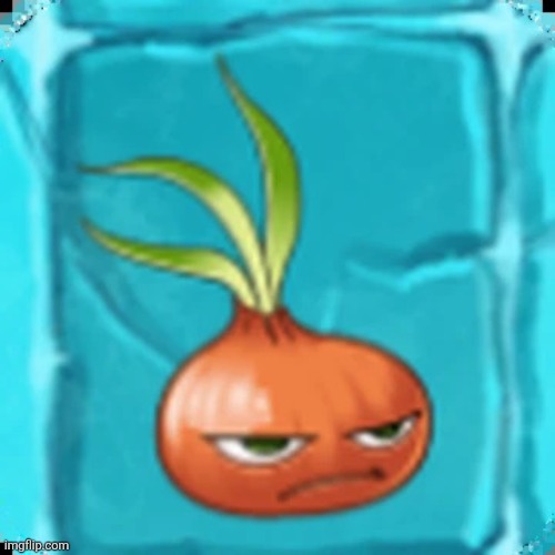 Stunion | image tagged in stunion | made w/ Imgflip meme maker
