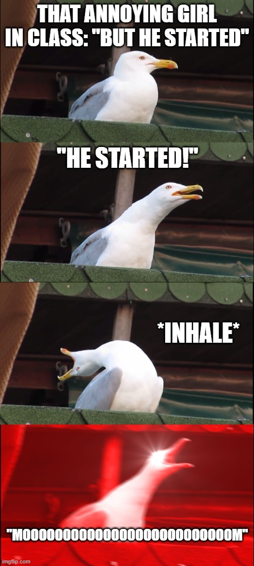 Inhaling Seagull | that annoying girl in class: "but he started"; "HE STARTED!"; *inhale*; "MOOOOOOOOOOOOOOOOOOOOOOOOOOM" | image tagged in memes,inhaling seagull | made w/ Imgflip meme maker