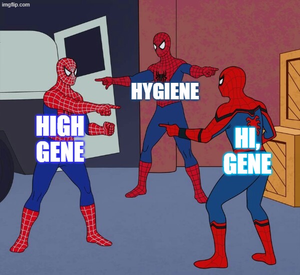 Which would you choose if you had to? | hygiene; hıgh gene; hı,
gene | image tagged in spider man triple | made w/ Imgflip meme maker