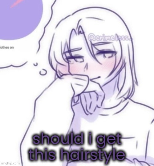 Smug look | should i get this hairstyle | image tagged in smug look | made w/ Imgflip meme maker