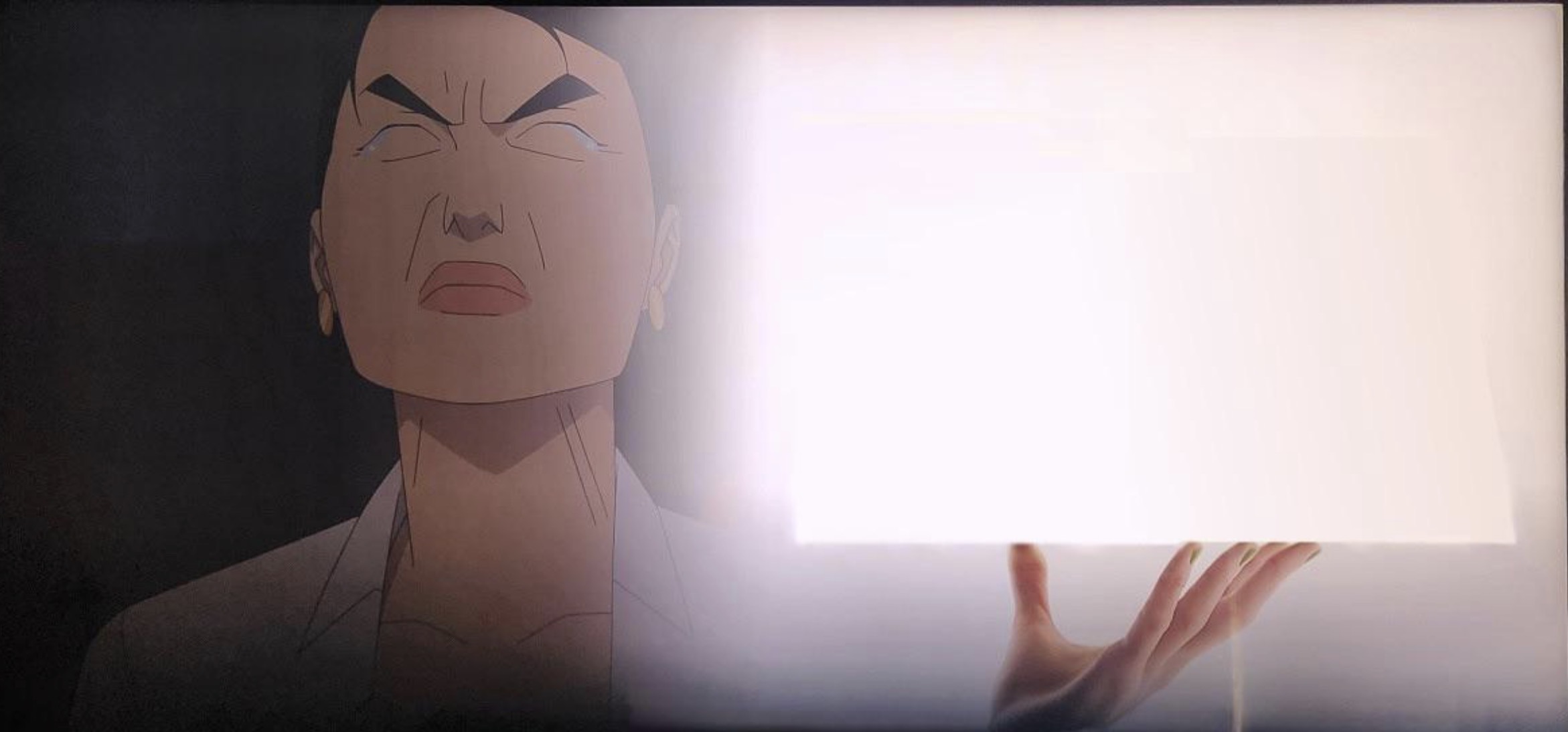 Debby presenting Blank Meme Template