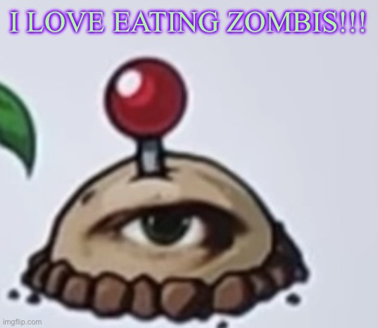 the potato | I LOVE EATING ZOMBIS!!! | image tagged in the potato | made w/ Imgflip meme maker