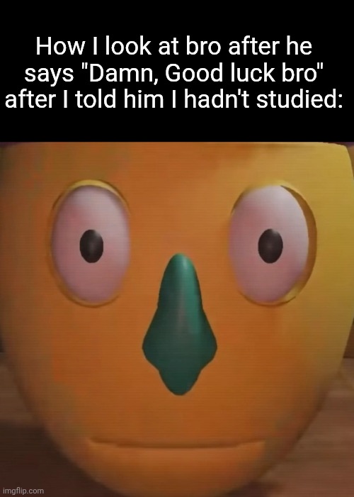 Aren't you gonna HELP ME? | How I look at bro after he says "Damn, Good luck bro" after I told him I hadn't studied: | image tagged in gerald stares deep into your soul,julian and friends,school | made w/ Imgflip meme maker