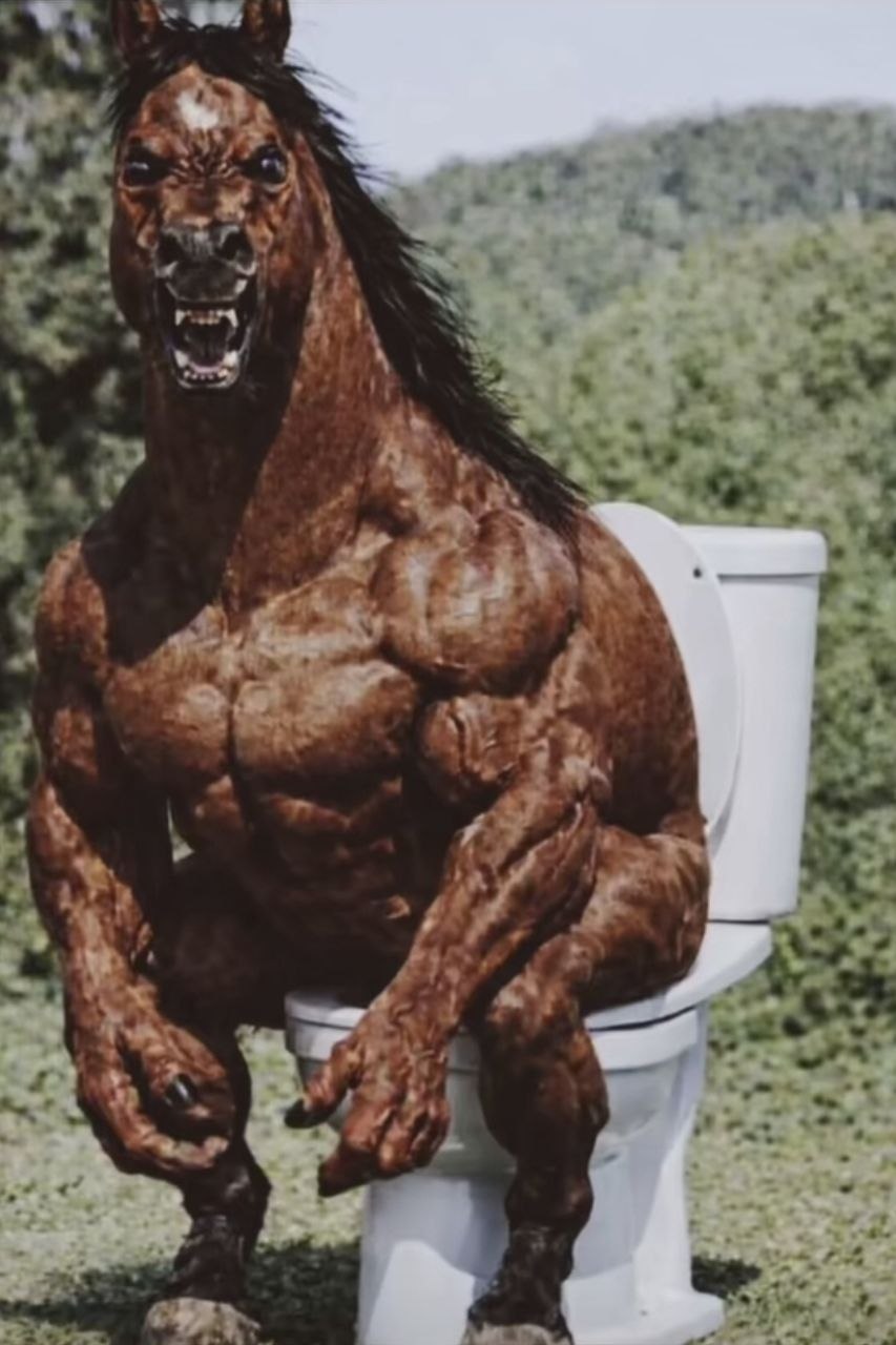 horse Blank Meme Template