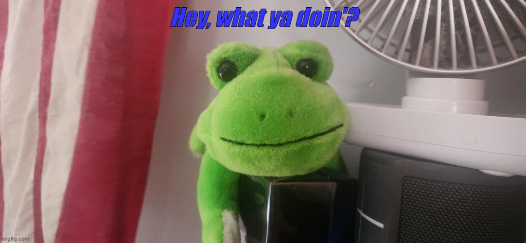 Happy Day | Hey, what ya doin'? | image tagged in kermit the frog,funny memes,2026,mother nature,spring break,space | made w/ Imgflip meme maker