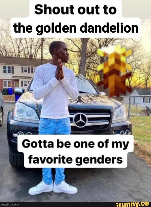 gotta be one of my favorite genders | the golden dandelion | image tagged in gotta be one of my favorite genders | made w/ Imgflip meme maker