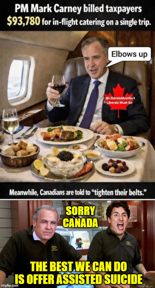 Canada has a backup plan | Sorry Canada; The best we can do is offer assisted suicide | image tagged in best we can do,canada,backup plan | made w/ Imgflip meme maker