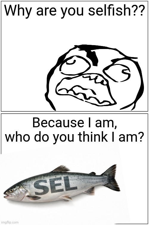 Being selfish be like | Why are you selfish?? Because I am, who do you think I am? | image tagged in memes,funny,relatable,lol so funny,selfish | made w/ Imgflip meme maker