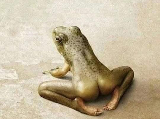 Frog hope Blank Meme Template