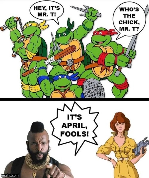 Today's the day | image tagged in teenage mutant ninja turtles,mr t pity the fool,april,april fool's day,borrowed | made w/ Imgflip meme maker
