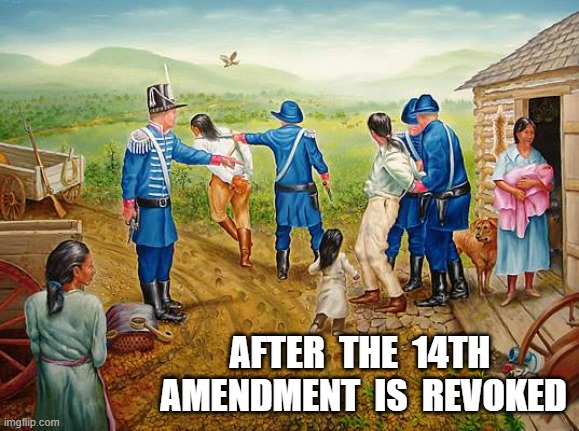 Native Foreigners | after  the  14th  amendment  is  revoked | image tagged in stop reading the tags | made w/ Imgflip meme maker