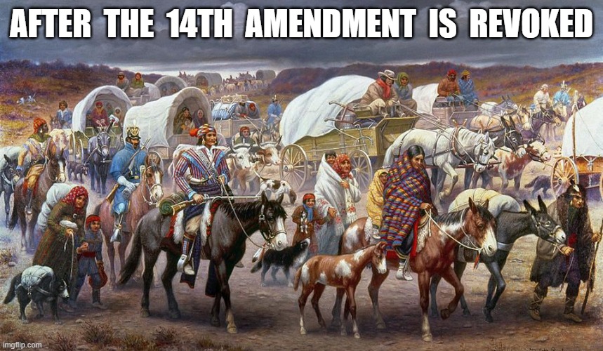 Pack Up and Get! | after  the  14th  amendment  is  revoked | image tagged in stop reading the tags | made w/ Imgflip meme maker