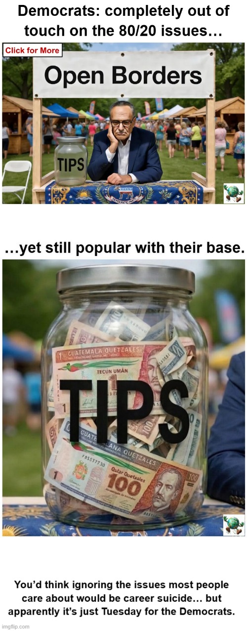 If you got everything wrong on the 80/20 issues, shouldn’t you be voted out? | image tagged in maga,conservative,open borders | made w/ Imgflip meme maker