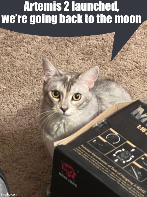 Cinder speech bubble | Artemis 2 launched, we’re going back to the moon | image tagged in cinder speech bubble | made w/ Imgflip meme maker