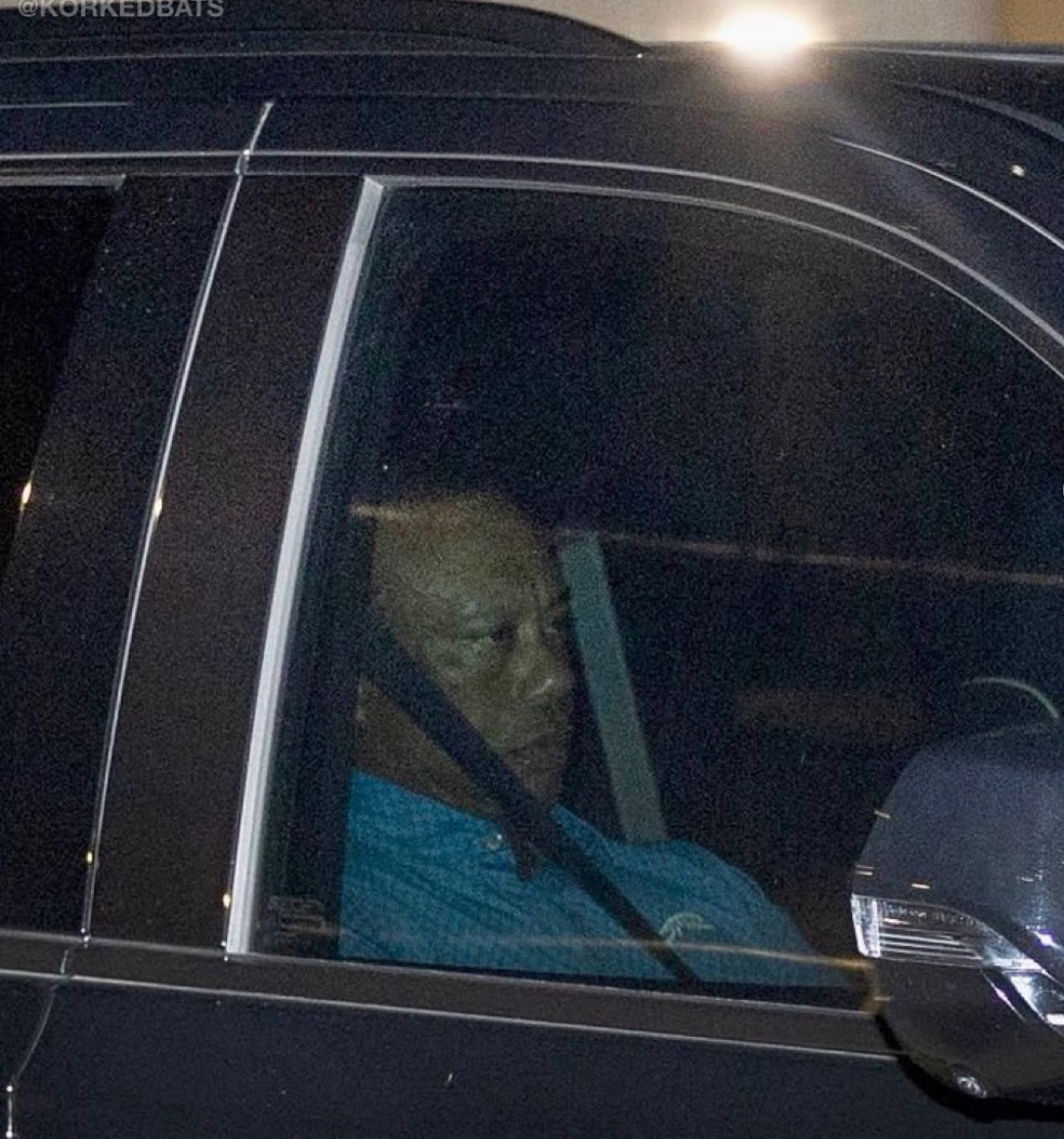 Tiger Blank Meme Template