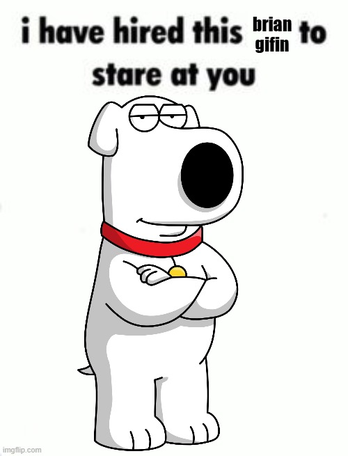 brian gifin | brian gifin | image tagged in i have hired this to stare at you blank template | made w/ Imgflip meme maker