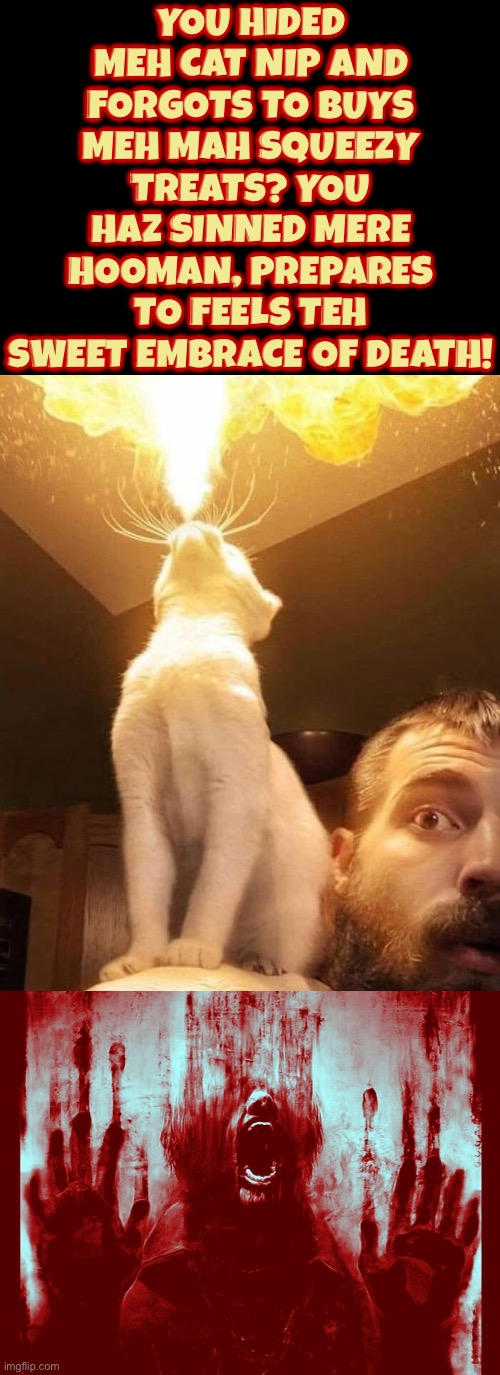 You Haz Sinned Mere Hooman | You hided meh cat nip and forgots to buys meh mah squeezy treats? You haz sinned mere hooman, prepares to feels teh sweet embrace of death! | image tagged in cats,funny cats,you have sinned child prepare to feel the sweet embrace of death,kill you cat,evil overlord rules | made w/ Imgflip meme maker