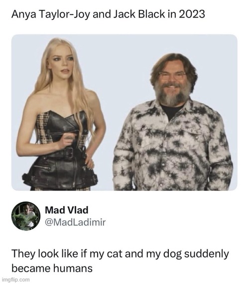 image tagged in anya taylor joy,jack black,cat,dog,humans | made w/ Imgflip meme maker