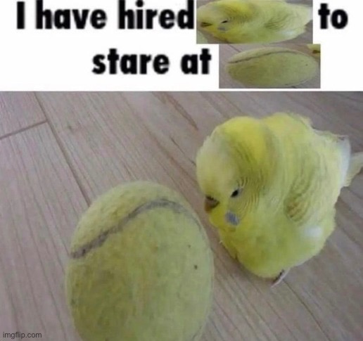 image tagged in msmg | made w/ Imgflip meme maker