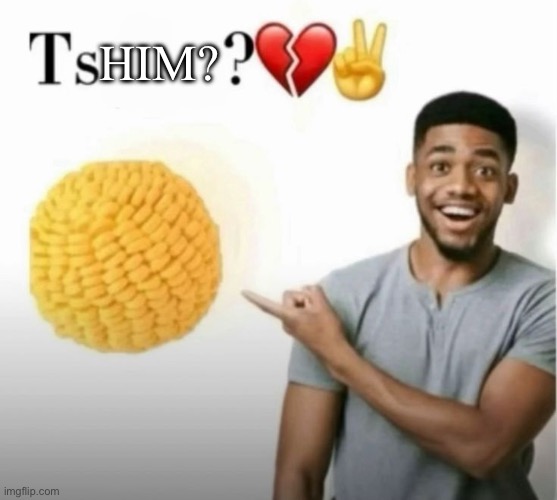 ts you? | Him? | image tagged in ts you | made w/ Imgflip meme maker