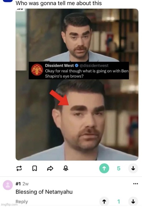 Get it guys, the punchline is Israel | image tagged in msmg | made w/ Imgflip meme maker