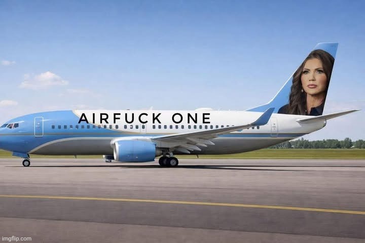 airfuck one | image tagged in noem,dog killer | made w/ Imgflip meme maker