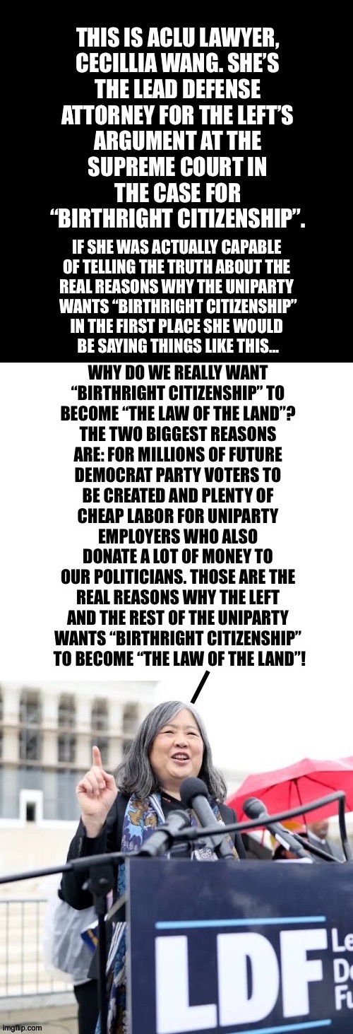 They’re lying if they don’t say that those are the real reasons | If she was actually capable 
of telling the truth about the 
real reasons why The UniParty 
wants “birthright citizenship”
in the first place She Would 
be saying things like this… | image tagged in political meme,uniparty,birthright citizenship,aclu,the real reasons,voters and cheap labor | made w/ Imgflip meme maker