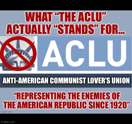 They’re the best friends of evil | image tagged in political meme,the aclu,communists,anti america,criminals,anti justice | made w/ Imgflip meme maker